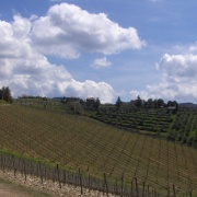 11_Castagnoli (11)